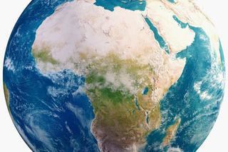 FII Institute Prepares to Combat Counterfeit and Illicit Trade in Africa