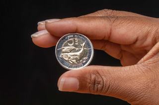 South Africa Issues New Coin Series