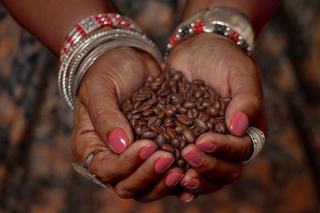 Traceability App Protects Coffee in India