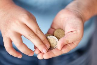 Support for Euro Remains High, but Not for Low Value Coins