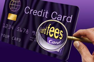Card Fees Rise Despite Interchange Fee Caps