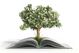 Telling the Cash Environmental Story to the Green Community