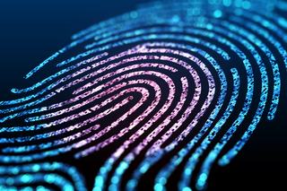 New Anticounterfeiting Technique Packs Two Light-Reactive Images into One Material