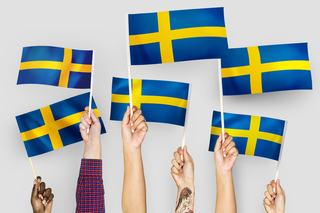 Sweden Considers the Future
