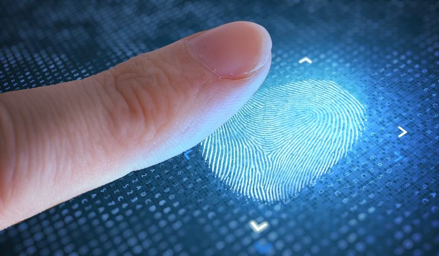Nigeria To Require Face and Fingerprint Biometrics for State Election