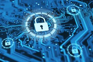The Risks of Digital Payment Crime
