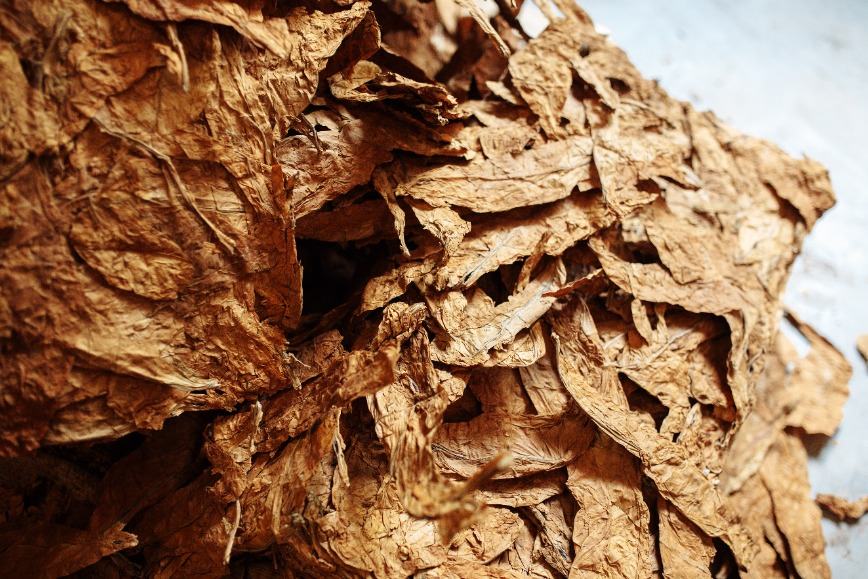 NGOs Advise EU to Eliminate Roles Allocated to Tobacco Industry