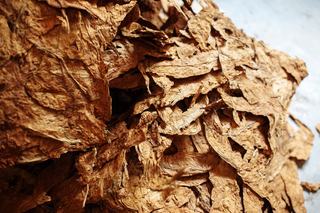 Lebanon Launches Tobacco Authentication and Traceability Programme