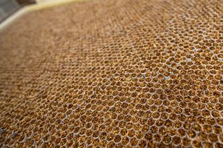 The UK’s Illicit Cigarette Trade