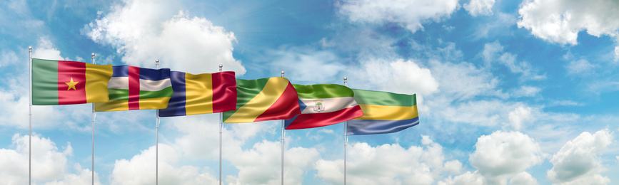 New Coins for Central African States