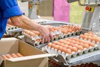 Cracking the Case of Counterfeit Eggs
