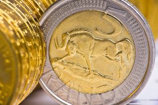 The Meaning of Coin for South African Mint’s Honey Mamabolo