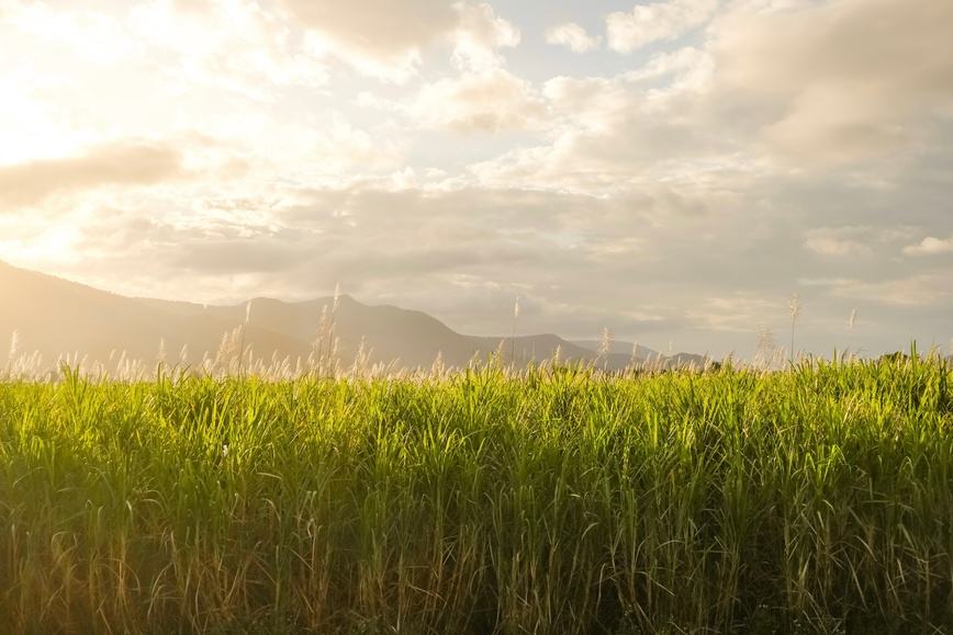 CPS Returns, Launches Green Strategy