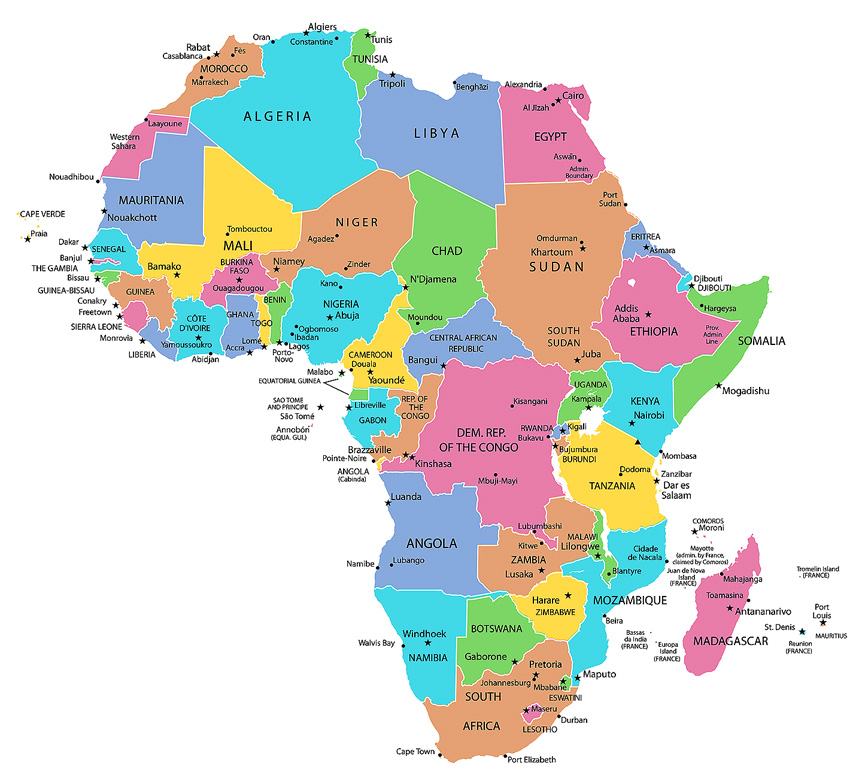 ‘Local Footprint’ is Key to Tackling Counterfeits in Africa, Says Risk Management Specialist