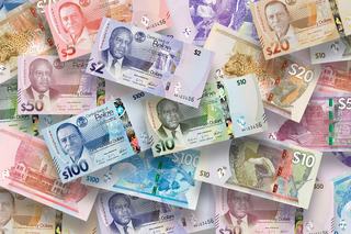 Farewell to the Queen: Belize Unveils New Banknotes
