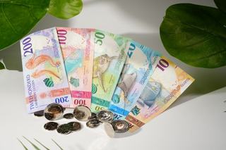 New Currency Focuses on the World Under the Seas