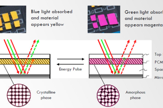 Structural Colour Gets Special Attention at ODDS 2022
