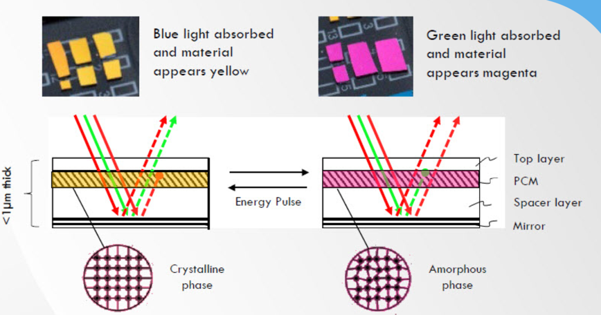 Structural Colour Gets Special Attention at ODDS 2022