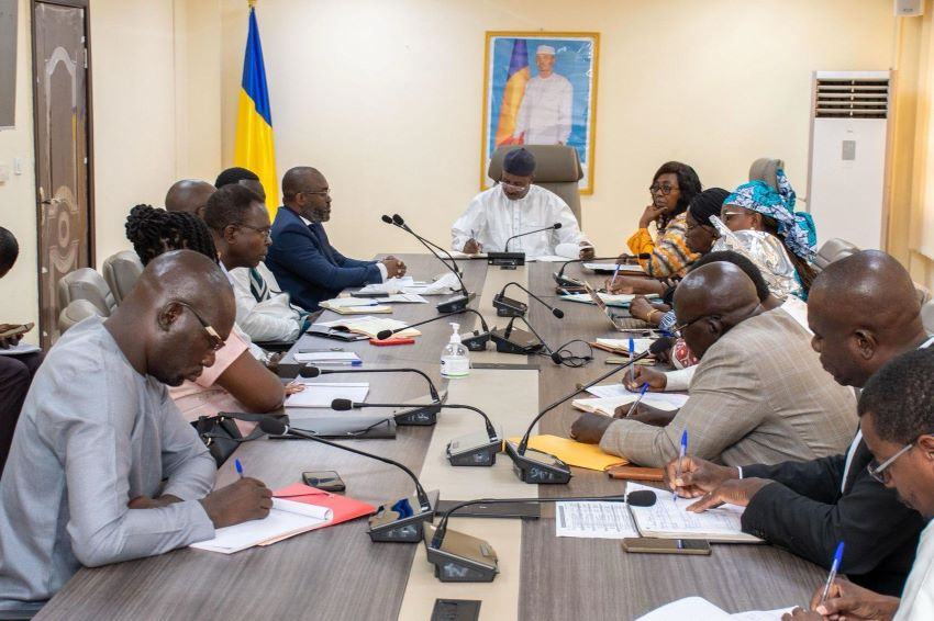 Chad Hosts Technical Experts from WHO FCTC Secretariat