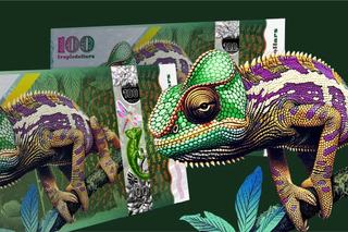 Chameleon Shows His True Colours
