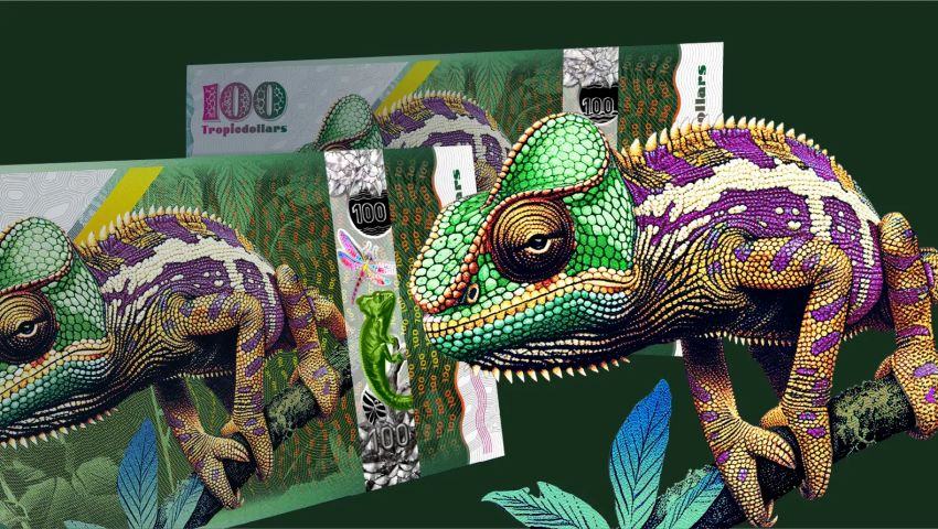 Chameleon Shows His True Colours
