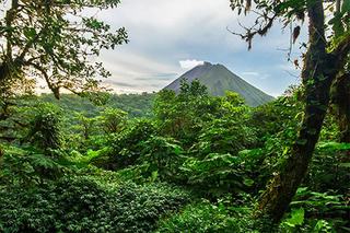ITSA Counters Claims in Costa Rica that Traceability Systems are Ineffective