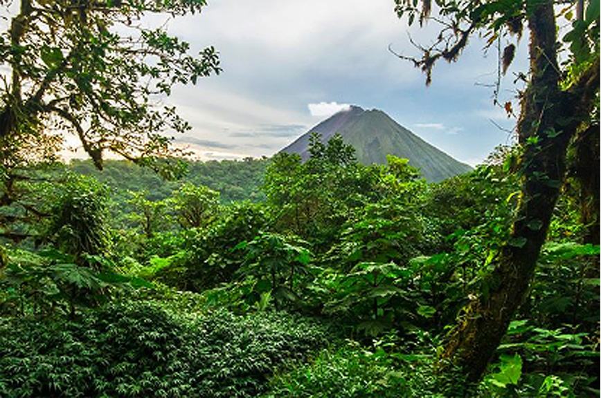 ITSA Counters Claims in Costa Rica that Traceability Systems are Ineffective