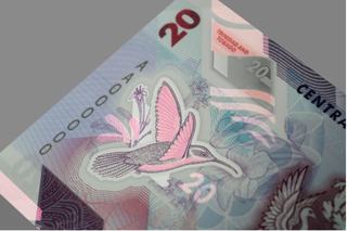 Large Area and High Impact… It’s All About the Windows for Polymer Banknotes