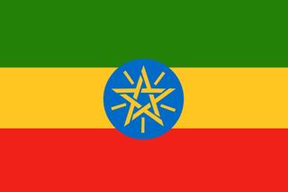 On the Record: Ethiopia’s Head of Immigration and Citizenship Services