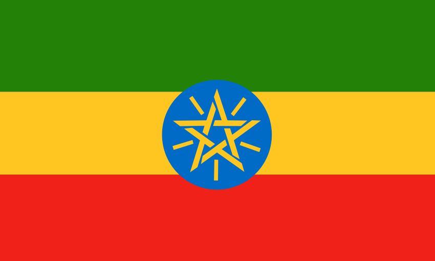 On the Record: Ethiopia’s Head of Immigration and Citizenship Services