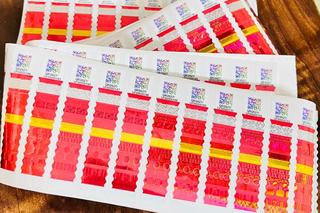 India: Rajasthan Debuts Multi-Colour Codes and Holograms