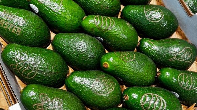 Natural Branding: When the Product Becomes the Label