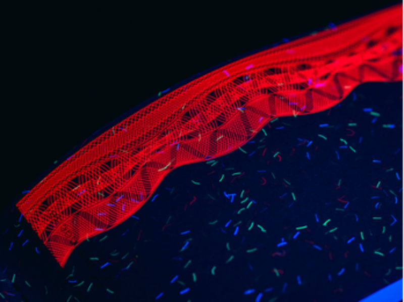 Luminochem LUREDBN25: The Balanced Red for Security Printing