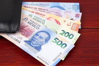 Country Cash Profile: Mexico