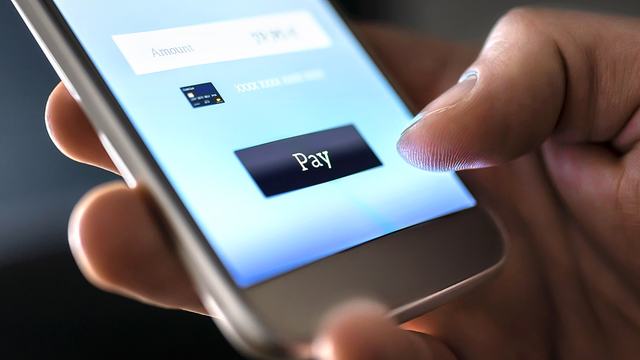 Central Banks and Payments