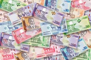 Namibia’s Currency Revamp: A Celebration of National Pride and Identity