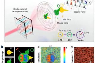 Scientists Develop Novel Method for Controlling Light Polarisation