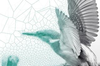 Supporting Design Excellence – ONE Security Software Becomes Two Point One