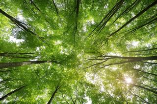 Koenig & Bauer Banknote Solutions Champions Sustainability in Currency Production