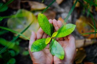 Transferring Technology from Security to Sustainability