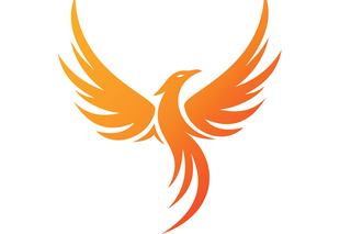 The Phoenix Rises