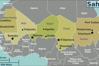 OCCRP Warns of Industry Involvement in West African Cigarette Smuggling