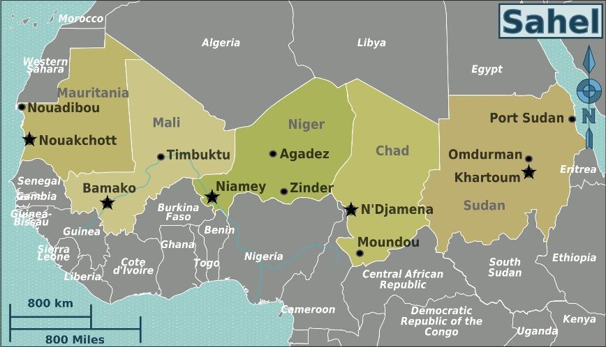OCCRP Warns of Industry Involvement in West African Cigarette Smuggling