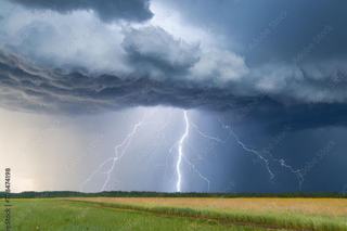 A Perfect Storm for Mints