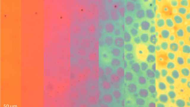 Scientists Create Octopus-Inspired Material
