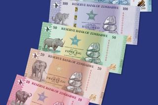 The New BiG5ZiG Banknote Series