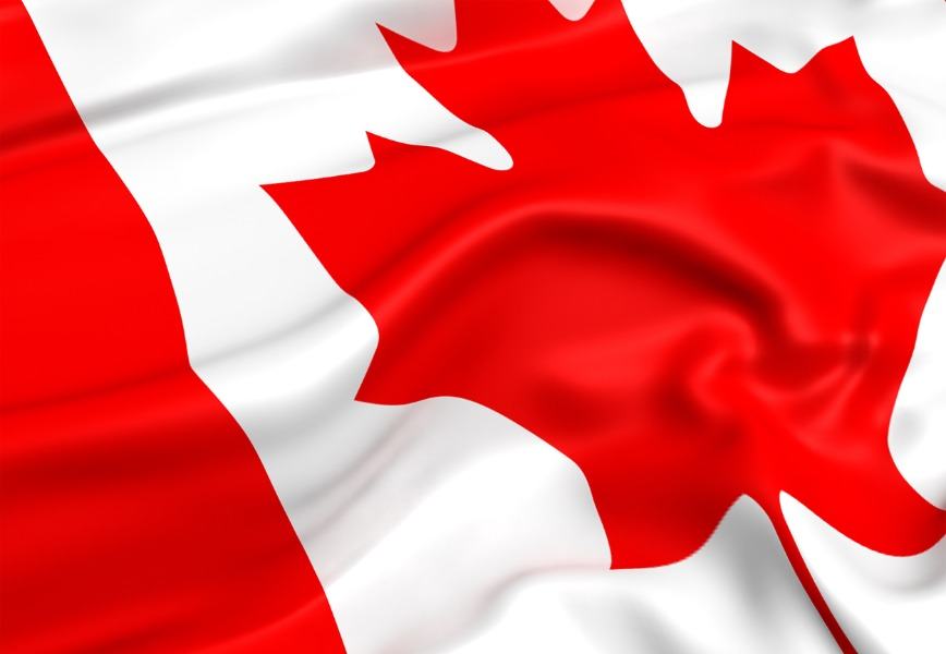 Bank of Canada Reports on 2020