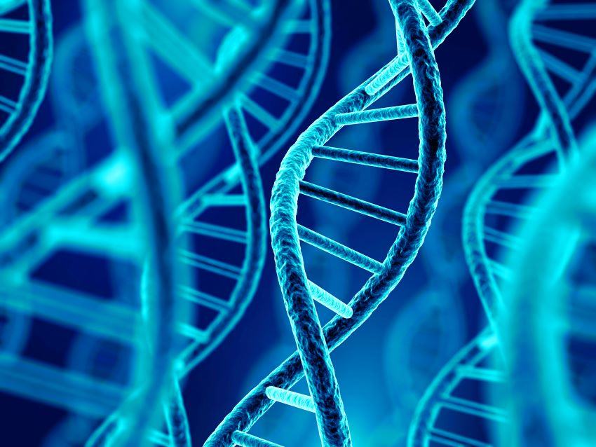 Understanding Unclonable Patterns