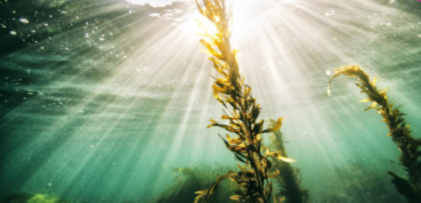Every Little Bit of Sustainability Helps