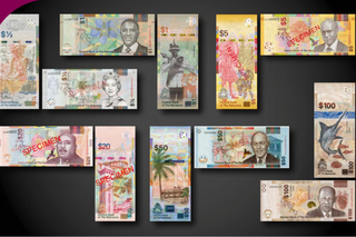 Bahamas New Series – a Case Study for Successful Feature/Substrate Pairings